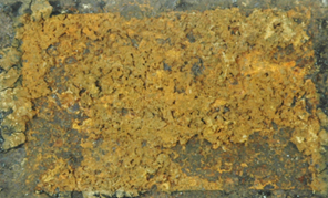 Displayed Image