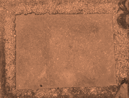 Displayed Image