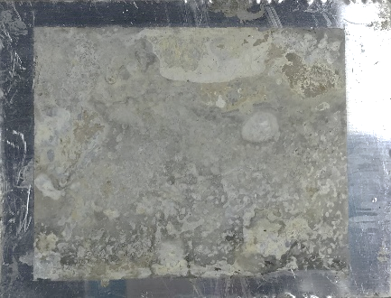 Displayed Image