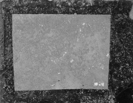 Displayed Image