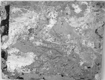 Displayed Image