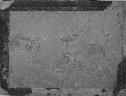 Displayed Image