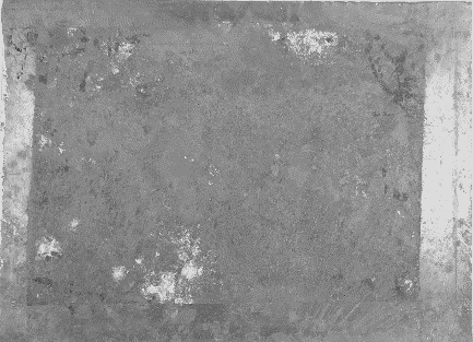 Displayed Image