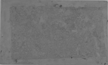 Displayed Image