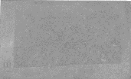 Displayed Image