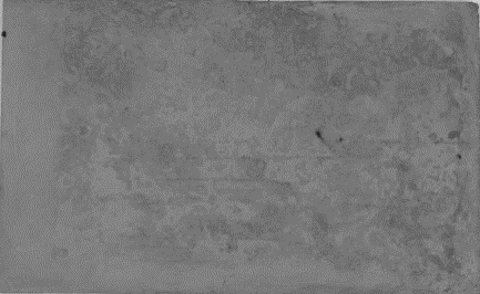 Displayed Image