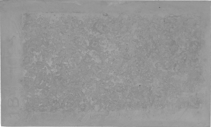 Displayed Image