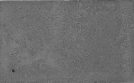 Displayed Image