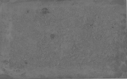 Displayed Image