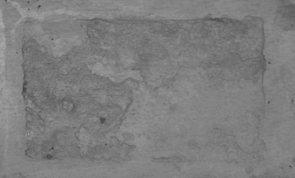Displayed Image