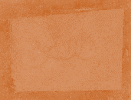 Displayed Image