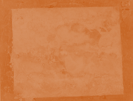 Displayed Image