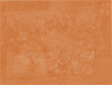 Displayed Image
