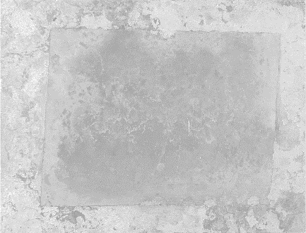Displayed Image