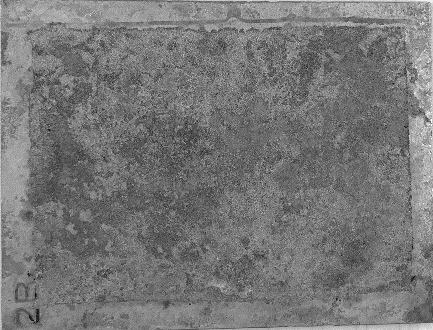 Displayed Image