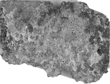 Displayed Image
