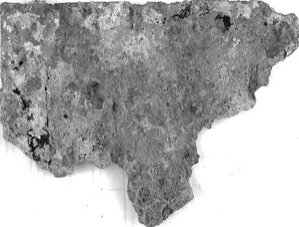 Displayed Image