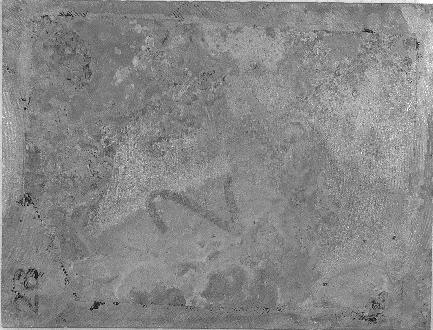 Displayed Image