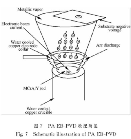 图片7